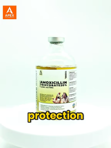FEATHERBOOST AMOXICILLIN TRIHYDRATE 20% LONG ACTING| GAMEFOWL & FARM ANIMALS