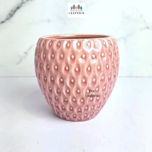 The Leaferie Blair plant pots Ceramic flowerpot . flowerpots . flower pot . planter . planters