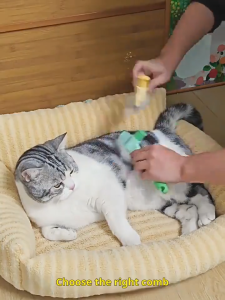 Pet Flea Comb Cat Dog Hair Removal Comb Round Headed Stainless Steel Comb Not Hurt Skin Removers Tangled Hair Pet Grooming Massage Brush For Dog Cat