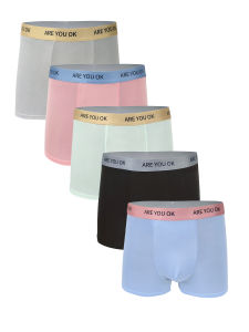 Mens 5-Pack Ice Silk Boxer Briefs - "ARE YOU OK" Waistband Cool & Breathable Underwear Set