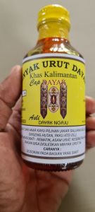 minyak urut asli suku dayak kalimantan minyak urut herbal minyak rematik asam urat