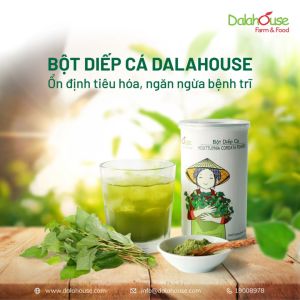 [Combo 2 Hộp tặng Bình pha] Bột diếp cá Dalahouse sấy lạnh chất lượng hữu cơ nguyên chất DATE MỚI Hộp 60 gr (20 gói)