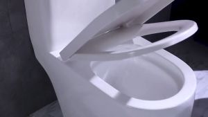 Hình chữ V Nắp bồn cầu nhựa Nhựa Trắng lắp bồn vệ sinh  chất liệu nhựa bền chắc dễ lắp đặtRơi Êm Cao Cấp Phù Hợp hầu hết các loại bồn cầu Bộ nắp bàn cầu nhà vệ sinh bằng nhựa cao cấp. SF