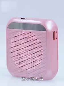 Voice Amplifier Portable 8W Speaker Support TF Card/Flash Drive 2200 mAh Mini Bluetooth Microphone for Teachers Class