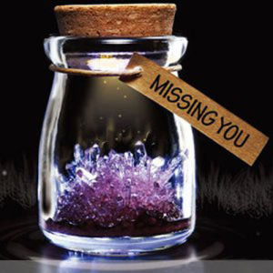DIY Crystal Growing Wishing Bottle Graduation Gift Educational Toy Self-Sown Lucky Star Planting Creative Home Decoration