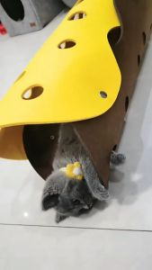 อุโมงค์แมว อุโมงค์สัตว์เลี้ยง ของเล่นแมว ของเล่นสัตว์เลี้ยง อุโมงค์สนุกใหม่ สัตว์เลี้ยง พับได้ ถอดซักได้ ของเล่นน้อง แก้เครียด สำหรับแมวแมวหรือสัตว์ขนาดเล็ก