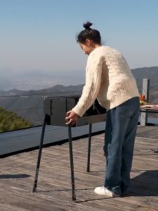 BBQ Grill Household Barbecue Grill Outdoor camping Smokeless Barbecue Charcoal Garden BBQ Portable Barbecue Stove Skewer Stove