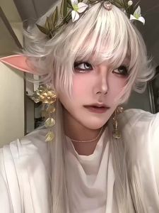 alice garden | Sweet Fairy Style Jk Wig