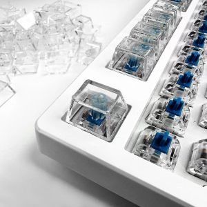 R4 Transparent ABS Keycaps for Mechanical Keyboard Backlit Unlettered Cherry Gateron Matte Anti-Ghosting 6/10PCS
