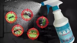 ยาฉีดมดในบ้าน 7 วันกำจัดมด 1สเปรย์มีผลทันที ป้องกันแมลงได้นาน 90 วัน ไม่มีสารเคมี ไม่เป็นอันตรายต่อคน 300ML