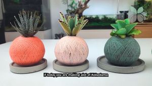 Bmc kokedama pafcal ball Soil-free Organic Pafcal Pack 日本无土海绵 S1001