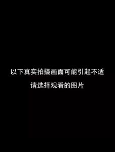 Obat Pembasmi Kecoa racun kecoa anti kecoa /Earth Black Cap/Burakku Kappu Japan