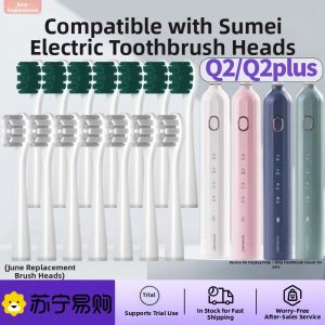 Initial June Compatible Su Mei Jing Q2/F1/Q2Plus Electric Toothbrush Head Y1 Replacement Brush Head Daily Invisible 2585