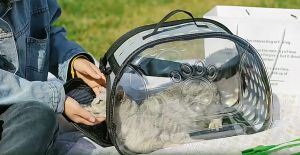 Transparent Pet Carrier Bag Capsule Foldable Breathable Cat Dog Travel Outdoor Pembawa Haiwan Peliharaan