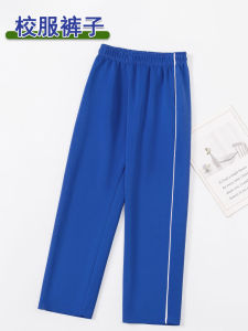 High School Students Royal Blue Uniform Pants Straight Leg Thin Ice Silk Quick Dry Middle School Students School Pants