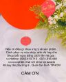 Nhẫn trơn mạ vàng 24k loại nhẫn 1 cây khắc 9999 cao cấp mẫu mới siêu bền màu. 