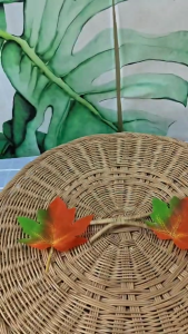 แก้วเซรามิคลายแมว แก้วน้ำ