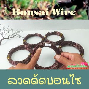 100 กรุณาลวด ลวดดัดบอนไซ สีน้ำตาล 100 กรัม น้ำหนัก เลือกขนาด