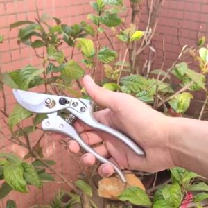 Kéo cắt cành cao cấp - Kéo tỉa cành JAPAN lưỡi thép không gỉ 200mm dùng làm vườn chăm sóc cây cối