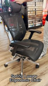 Spring Luxury Ergonomic Office Chair With Legrest Mesh Lumbar Support Adjustable Features Easy Self Setup