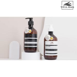 Ginger Shampoo Repair Damage Dry Hair Care Wash Treament Damage Hair 500ml Shampoo & Conditioner WH-X319/WH-H021