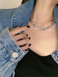 Double-Wrapped Snake Bone Titanium Steel Necklace Womens Non-Fading Vintage Versatile High-End Clavicle Chain Necklace