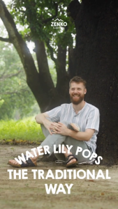 Zenko Superfoods - Ancient Grain Clusters - Golden Honey (Healthy Sorghum Snack) [48-pack]