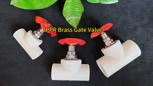 PPR Water Pipe Valve Fittings Manual Shut-Off Gate Valve 1/2" 3/4" Copper Ball Valve