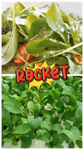 ร็อคเก็ต Rocket 5 กรัม (เมล็ดร็อคเก็ต)