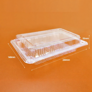 ZHENTAIYUAN | Self-locking Transparent Disposable Food Container 100 Sets
