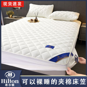 Five Star Hotel Quality Thickened Cotton Bed Canopy Single Piece Comforter Mattress Protector Anti Slip Dust Proof Cover