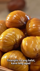 Dried Chestnut Kernels – Peeled Ready to Eat Nutritious Snack Rich in Fiber & Vitamins Leisure Snacks COD