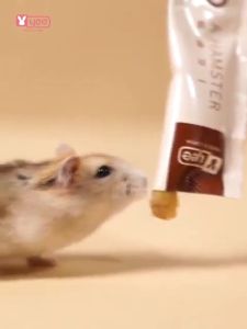 Hamster Strip Pack Wet / Dry Snack Treats Food || Nutrition Bar Various Tastes || Easy To Absorb Mini Pack