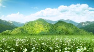 EUGICA MOUTH SPRAY (Hàng nhập khẩu) - Xịt họng thảo dược giúp giảm ho đau rát họng.