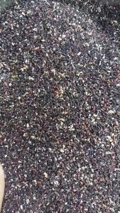 จมูกข้าวไรซ์เบอรี่ ขนาด 1 กก.เม็ดเล็กแต่คุณค่าเยอะ