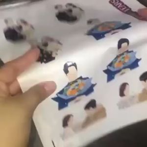 Queen of Tears Deco Die Cut Stickers - For planners notebooks & journals