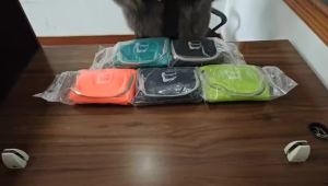 35L Travel Backpacks Daypacks Waterproof Foldable Camping Light Weight Bag Packable Hiking Sports Outdoor