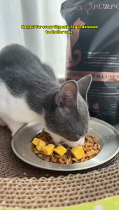 Paws & Purposes Super Premium Cat Kibble Natural Ingredients 100g