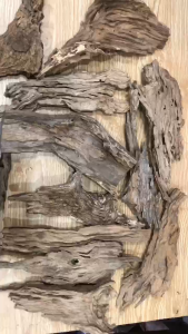 GỖ LŨA RỖNG TỰ NHIÊN – GỖ LŨA GHÉP LAN CẮM HOA TRANG TRÍ BONSAl - MẪU MÃ NGẪU NHIÊN - MAI HUY SINCE 2008