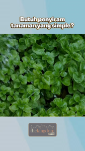 Claris Garden 5953 Springtime Pot Siram 13L Watering Jar Penyiram Kebun Tanaman Bunga