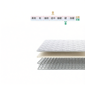 Airland | Spine Protecting Firm Latex Spring Mattress