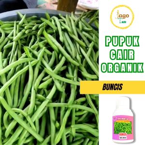 Pupuk Organik Cair Sayuran Buncis 100 Ml Nutrisi Agar Tumbuh Lebat Dan Subur By Jagotani Yogyakarta