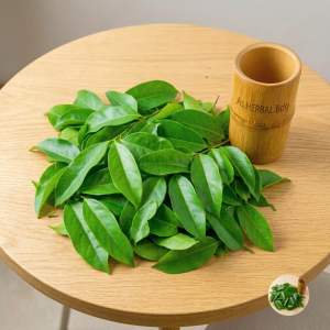 Daun mahkotadewa segar 200 gram mahkota dewa-az