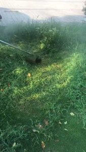 Mesin Rumput Tali Trimmer Line Trimmer Head for Echo SRM -225 -230 -210 High Performance String