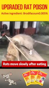 【no rats in the house for 20 years】racun tikus paling kuat rat poison killer ubat tikus paling kuat mati racun tikus mati 3 saat rat bait Mice die in a litter effectively repelling mice and controlling mice 老鼠药