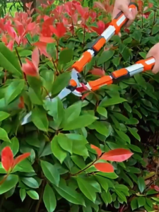 Tree Pruner Long Reach Telescopic Branch Cutter Gardening Tool For Tree Trimming