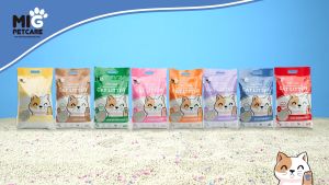 MIG PETCARE Cat Litter 10L: A Comprehensive Guide