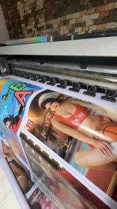 Sue Samirez Ginebra 2026 Tarpaulin Calendar