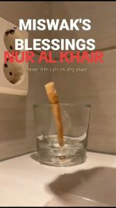Siwak | Miswak