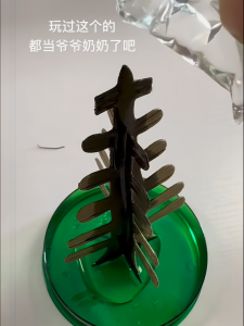 ต้นไม้สร้างสรรค์แบบมหัศจรรย์ DIY สำหรับเด็กผู้หญิง อุปกรณ์วิทยาศาสตร์การทดลอง เครื่องประดับตกแต่งบ้าน ของเล่นเสริมทักษะการสร้างสรรค์